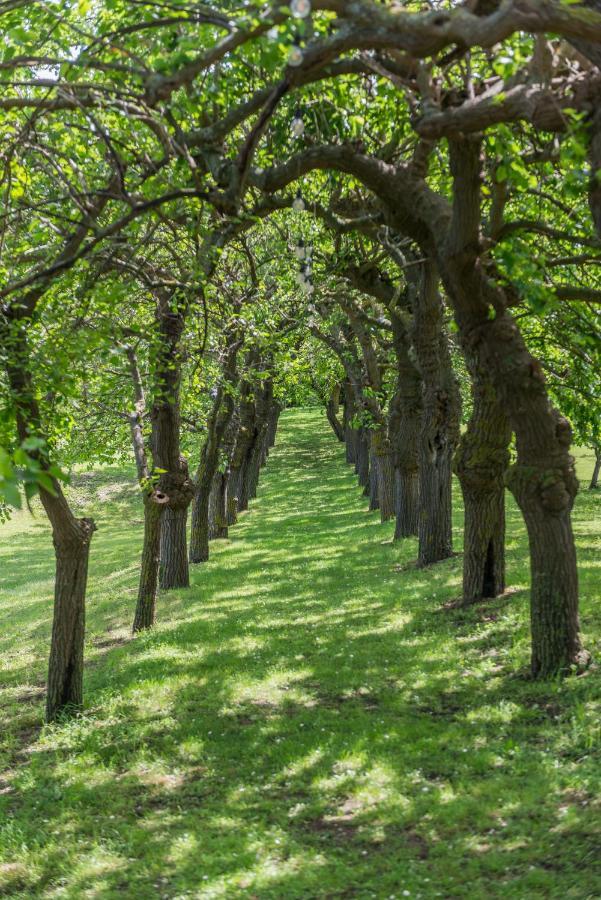 Collina Dei Poeti 3*
